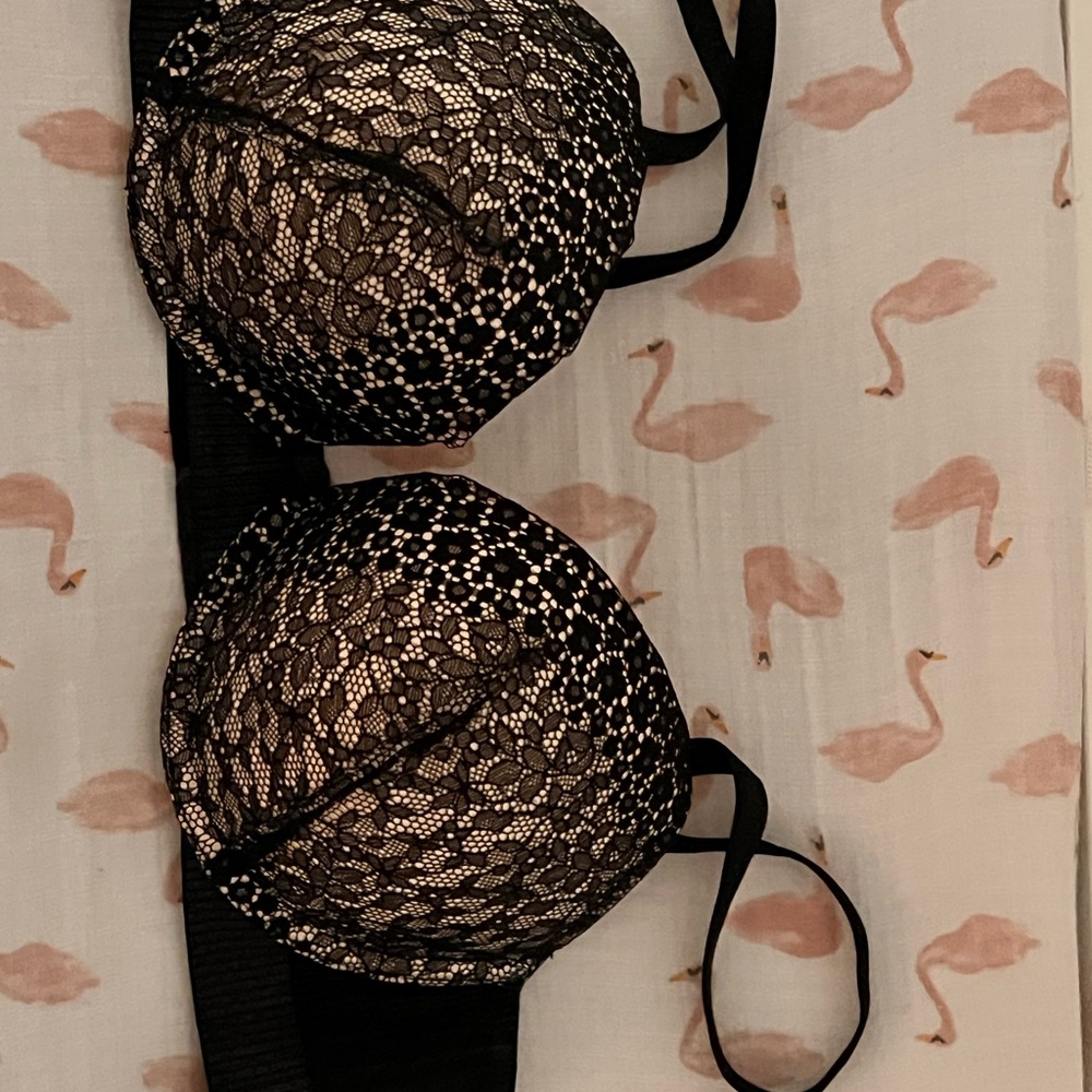 Black Lace Push-Up Bra - Women Intimates & Sleepwear